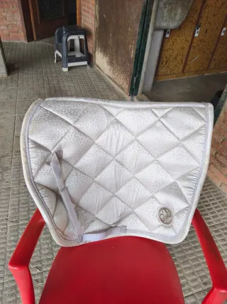 Mantilla Harry's Horse