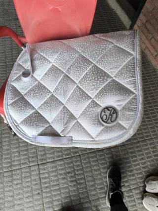 Mantilla Harry's Horse