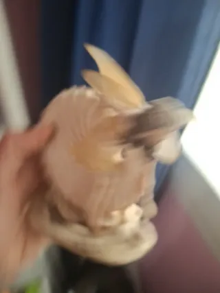 Figura Hada Decorativa Beige y Dorada