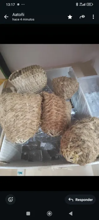 Lote de artículos de tienda de animales