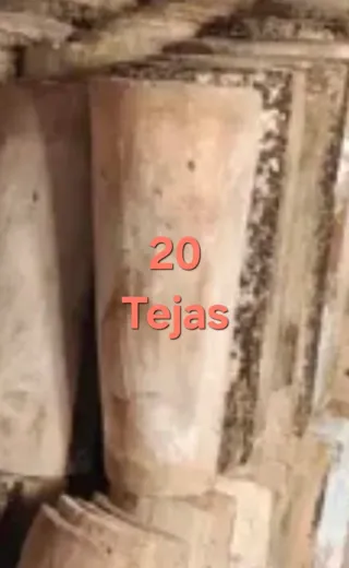 20 Tejas