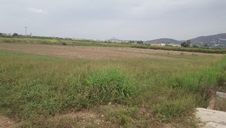 Venta de terreno agrícola a 17m. de Valencia