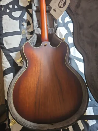 D'Angelico Deluxe DC Guitarra Satin Brown Burst