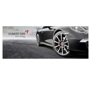 Kumho Ecsta PS91 235/35 R19 91Y neumáticos