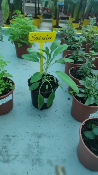 Montaje de muebles (IKEA / otros) Fuerteventura