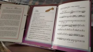 Colección instrumentos musicales miniatura