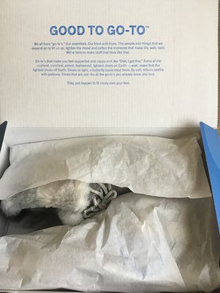 Botines Hey Dude con forro pelo