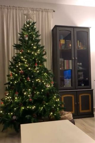 Árbol de Navidad 2m