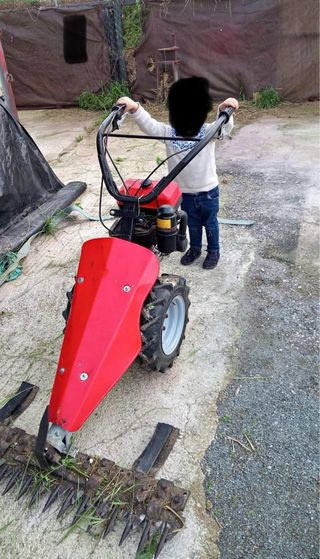 Desbrozadora antigua pero funcional