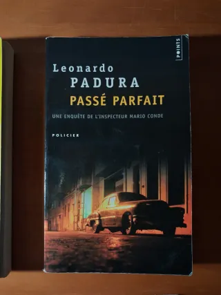 Lote libros en francés