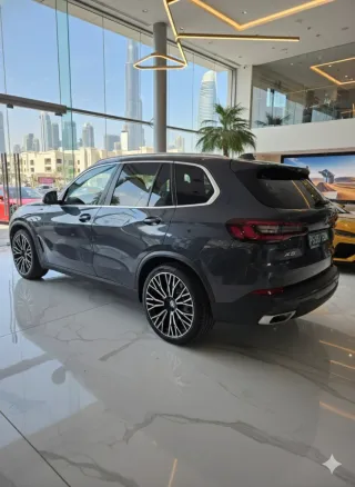 Llantas BMW X5 X6 22