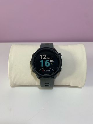 Garmin Forerunner 245 Gris