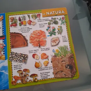 Perché? Apri gli occhi sul mondo