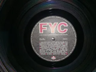Vinilo FYC Fine Young Cannibals The Raw & The Cook
