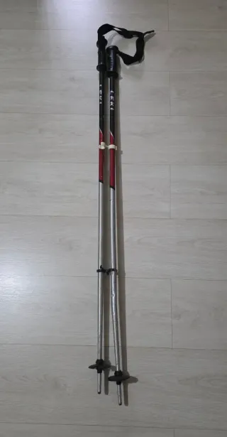 Esquís de velocidad