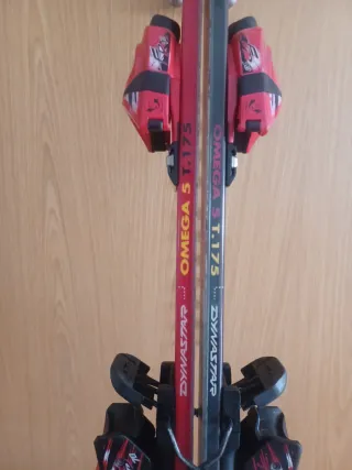 Esquís con fijaciones Dynastar Omega Viridium