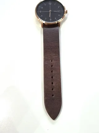 Reloj Havet Marrón y Dorado