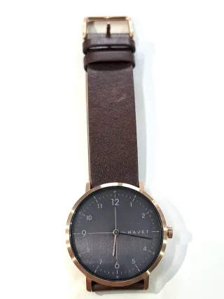 Reloj Havet Marrón y Dorado