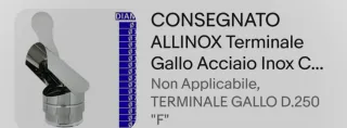 Terminale Canna Fumaria ALLINOX D.250