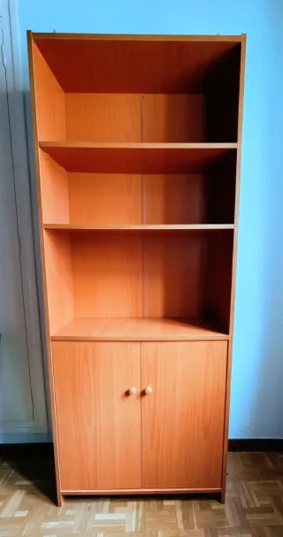 Estantería de madera con 2 puertas