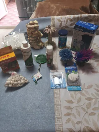 Acuario hexagonal con plantas naturales