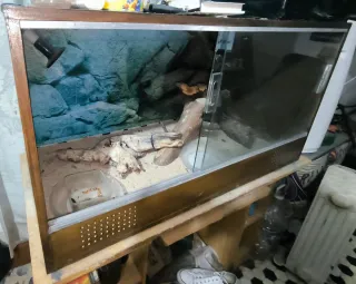 Terrario para reptiles