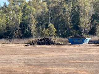 Leña de Eucalipto Rojo gratis