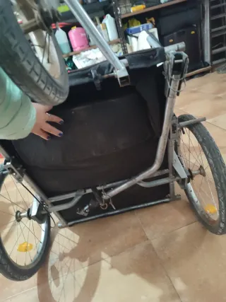 Carro remolque bici niños