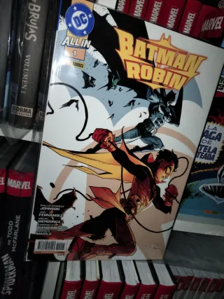 All in Batman y Robin