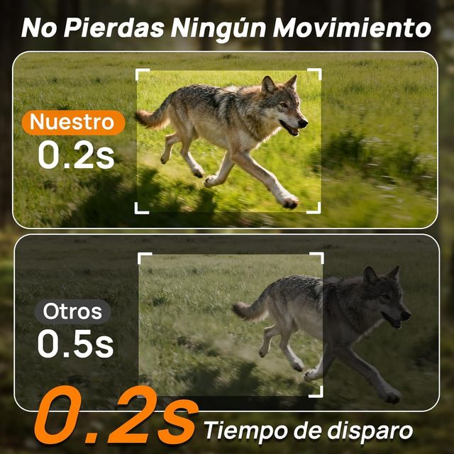 NUEVO - Fotocamera per Caccia 4G LTE Solare + SIM