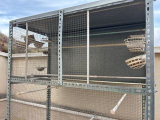 Jaula Voladera para Pájaros