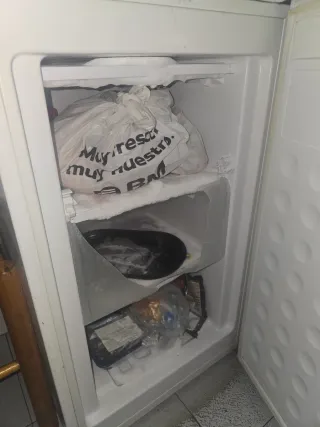 Nevera Frigeluxt pequeña