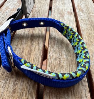 Collar para perro azul con estampado