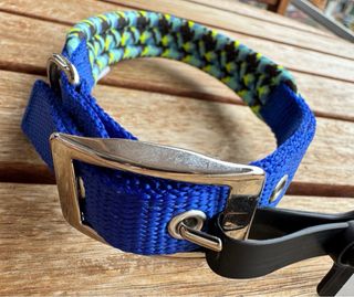 Collar para perro azul con estampado