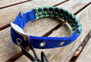 Collar para perro azul con estampado