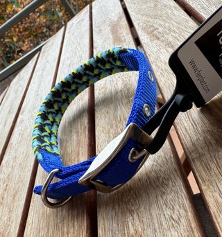 Collar para perro azul con estampado