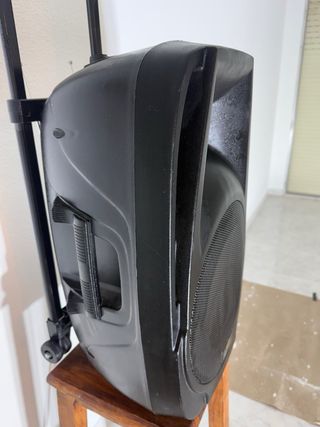 Altavoz Acoustic Control 12
