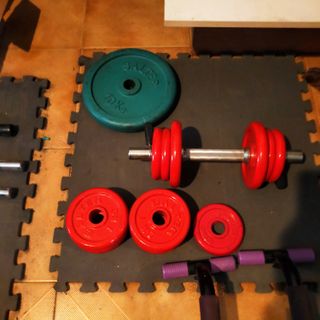 Pesas Salter: Discos y Barras