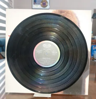 Vinilo Tina Turner - Break Every Rule