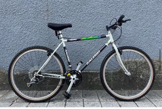 Bicicleta Raleigh MTB 26