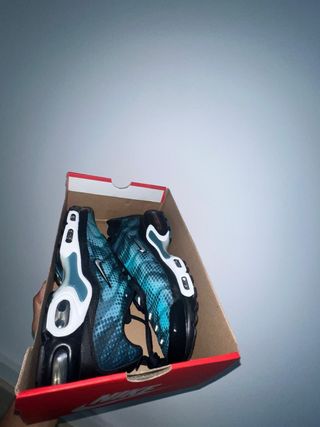 Zapatillas Nike TN Air Max Plus
