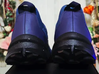 Adidas Terrex AX4 Zapatillas Azul