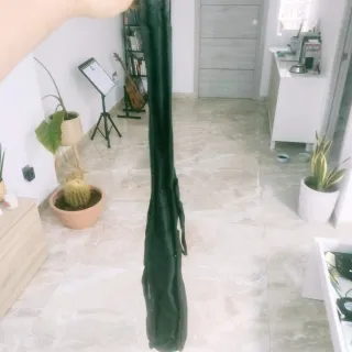 Ukelele Eléctrico Concierto