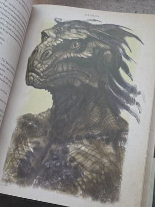 Biblioteca Skyrim Vol. 1 Historias en español