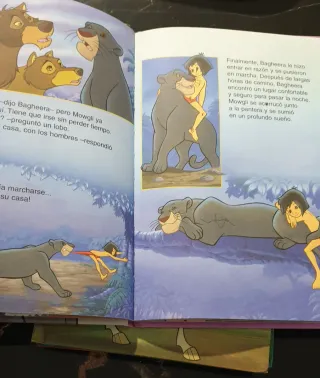 La dama y el vagabundo