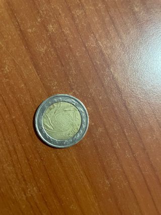 Moneta 2 Euro WFP 2004