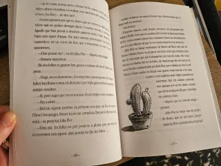 Lumare (Catalan Edition) de Xavier Minguez