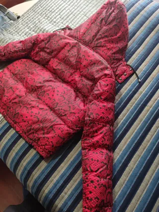 Cazadora bomber Zara estampado serpiente