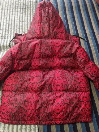 Cazadora bomber Zara estampado serpiente