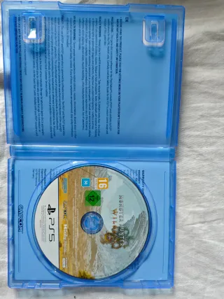 PS5 Monster Hunter Wilds